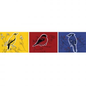 Африканская золотистая иволга, большая синица, синяя птица