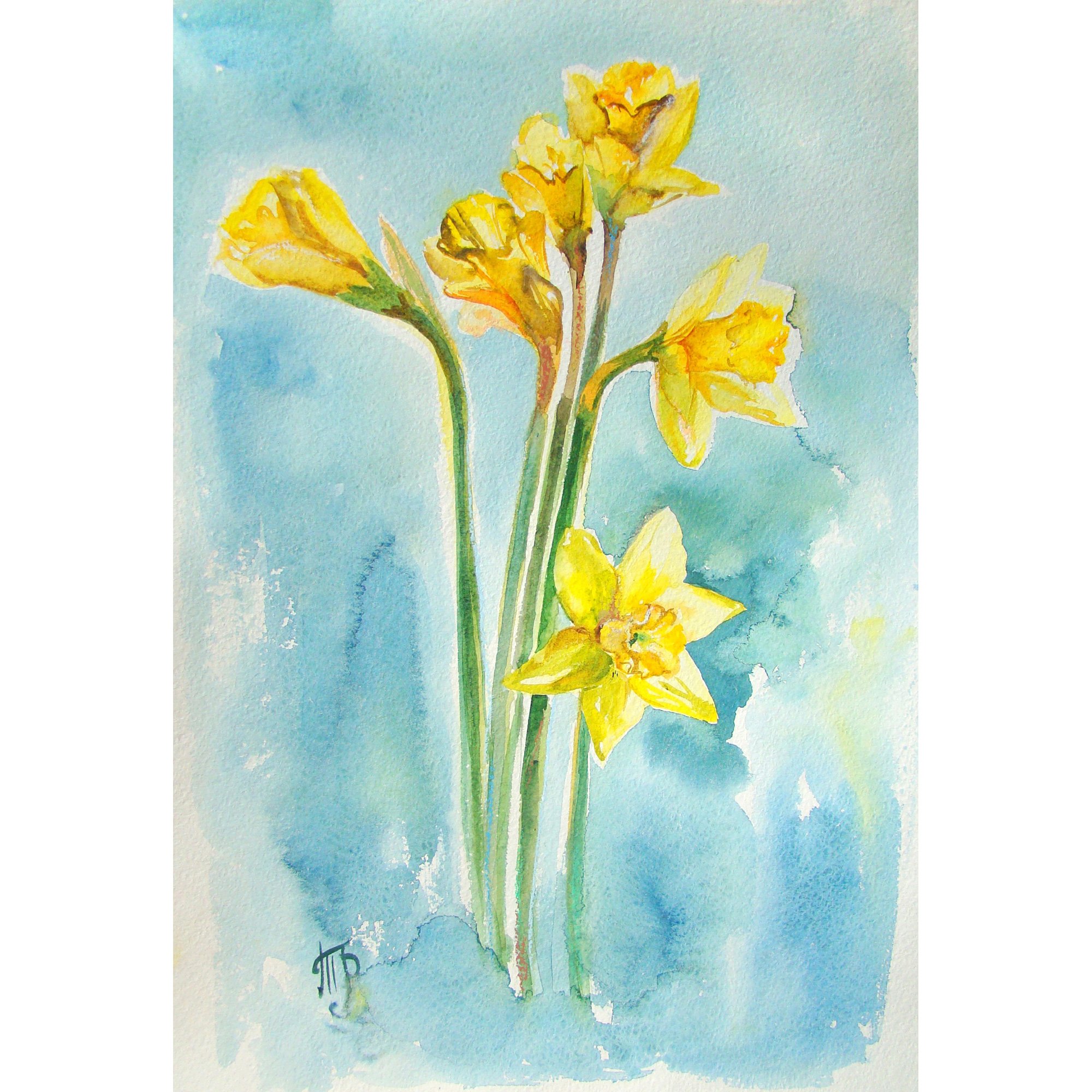 Нарцисс Цветок Монохромный рисунок для раскраски - стоковое векторное изображение