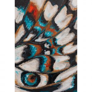 Oculi Papilionem