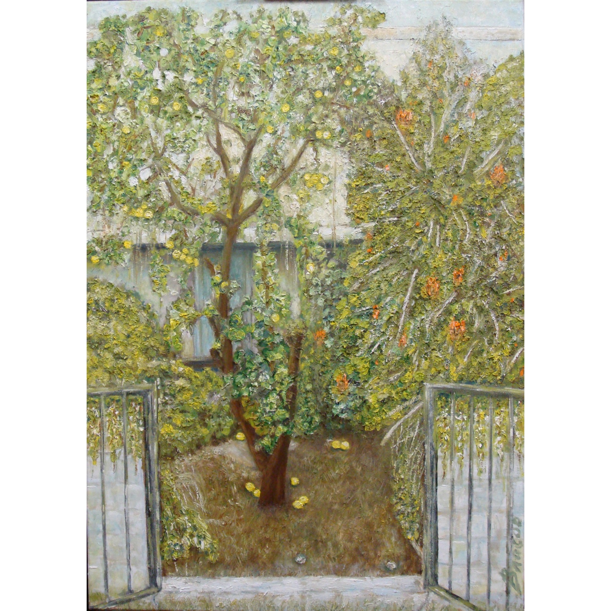 Палисадник с лимонным деревом. Иерусалим