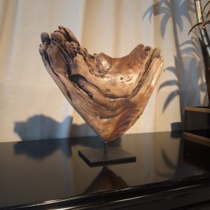 Bio-скульптура «Сердце»
