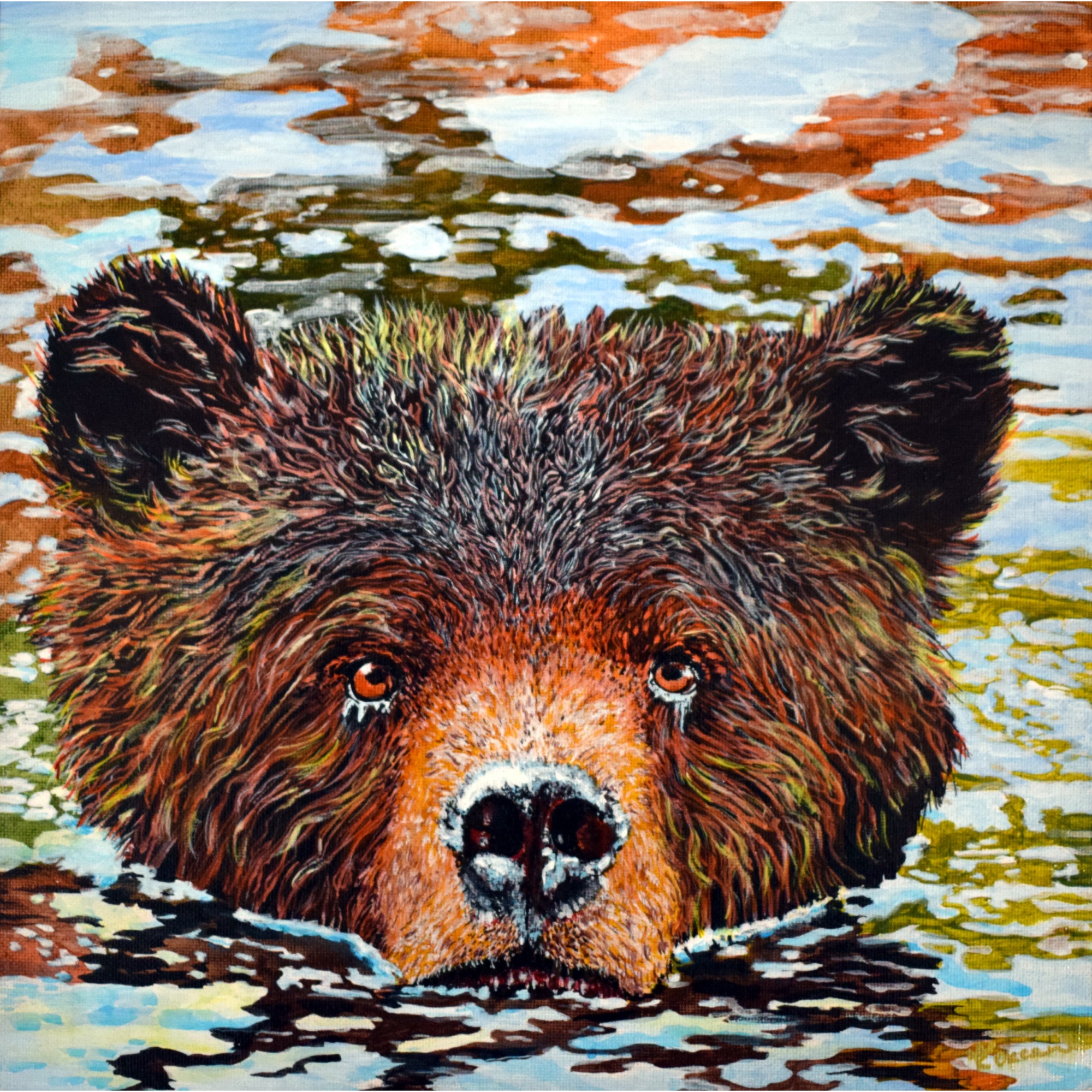 Медведь плывет