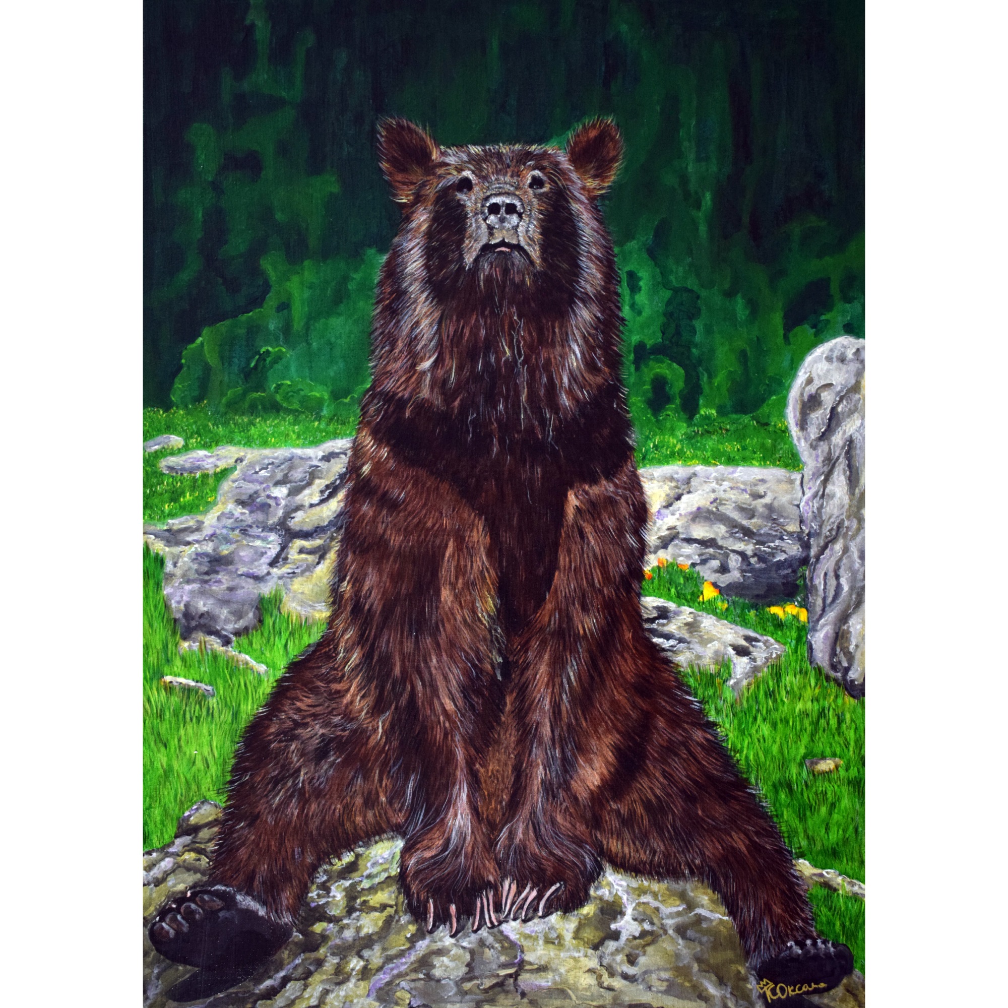 Медведь смотрит в даль