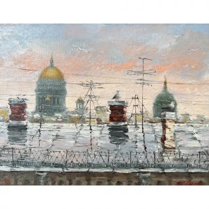 Питер. Крыши