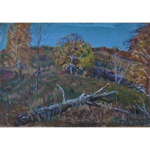 Осень в селе