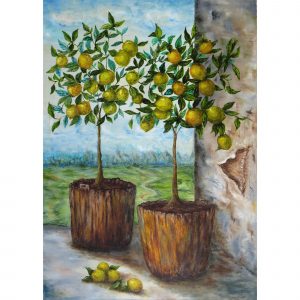 Два лимонных дерева