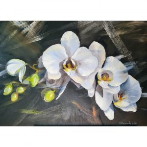 Орхидеи на черном