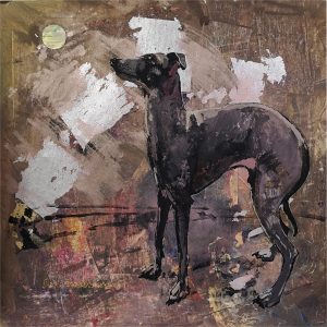 Greyhound Komarik