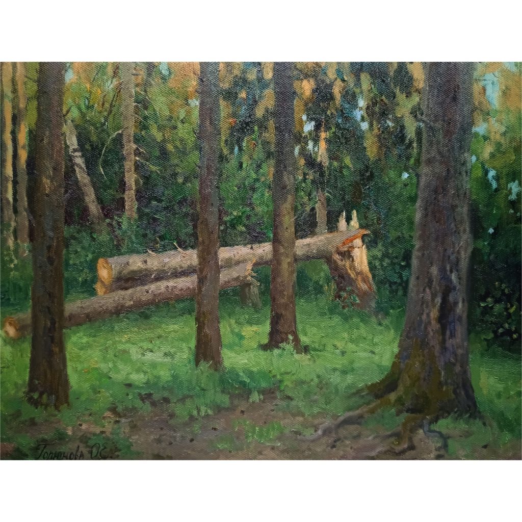 Степановский лес