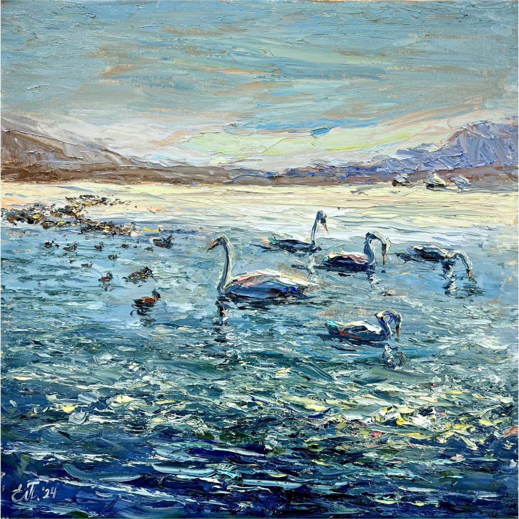 Лебеди на Халактырском озере