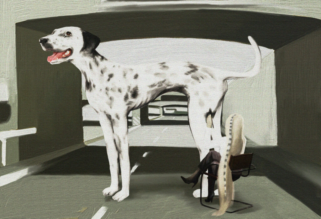 Interesting spot
