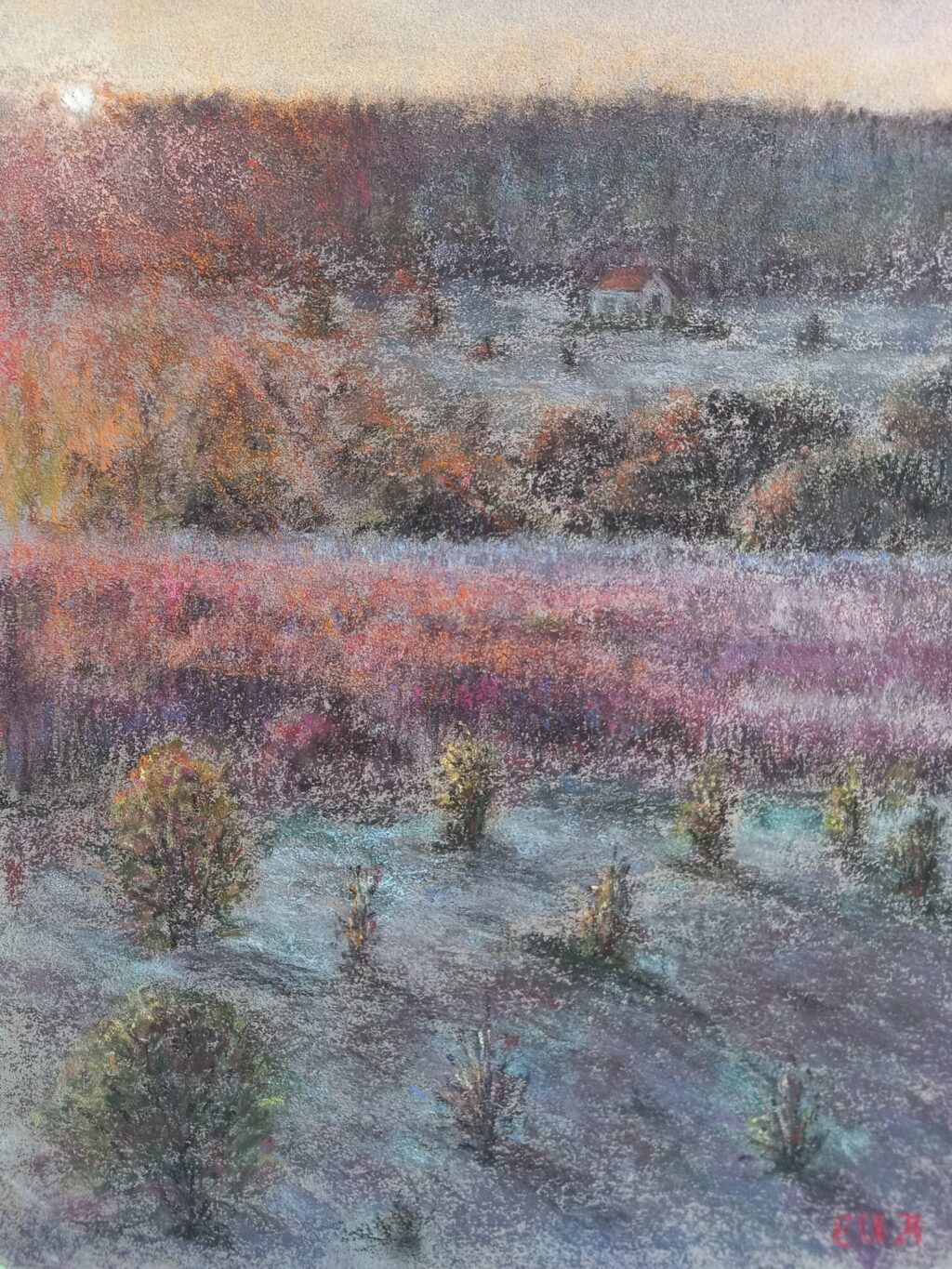 Иван-чай