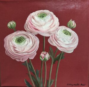 Ранункулюсы