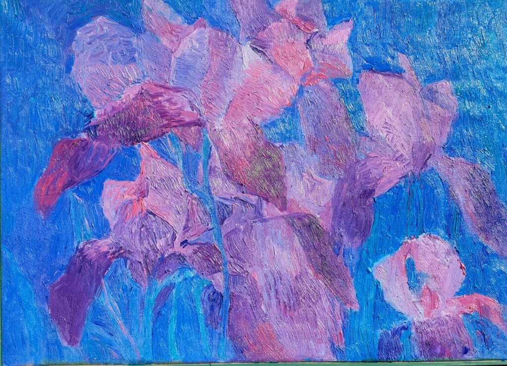 Ирисы 4