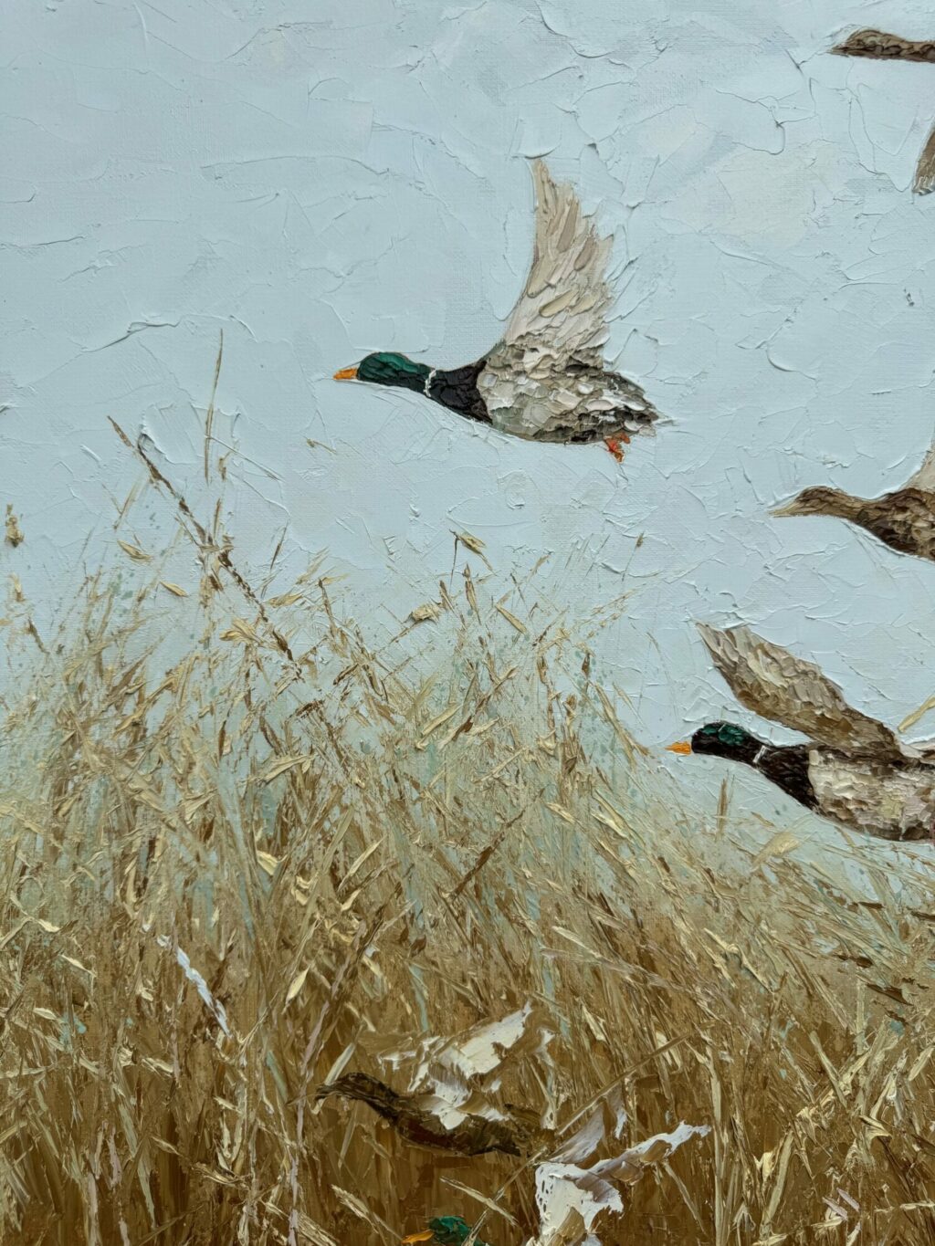 Утки. Умиротворение
