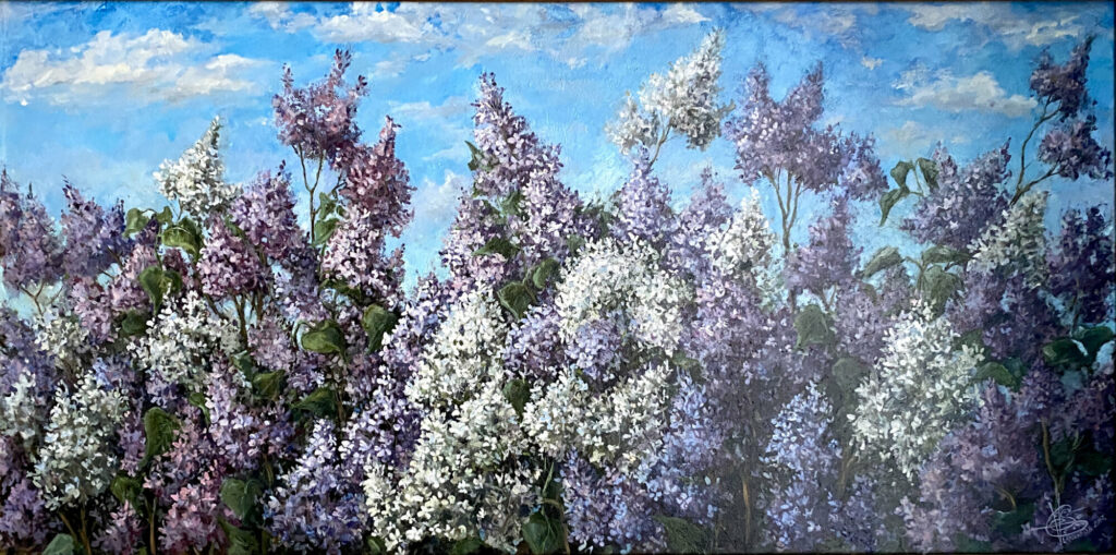 Сирень